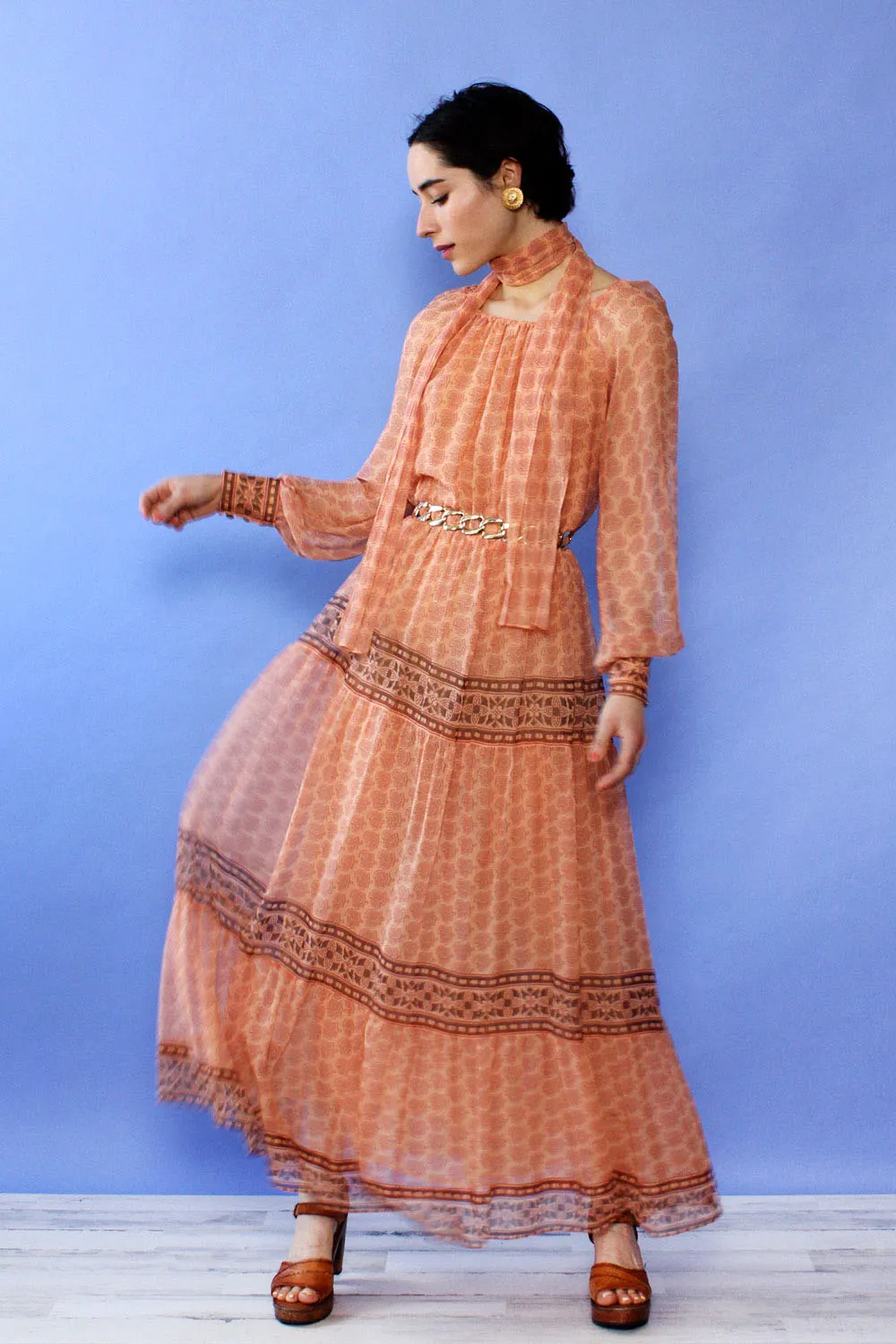 Albert Capraro Desert Rose Chiffon Dress S-L