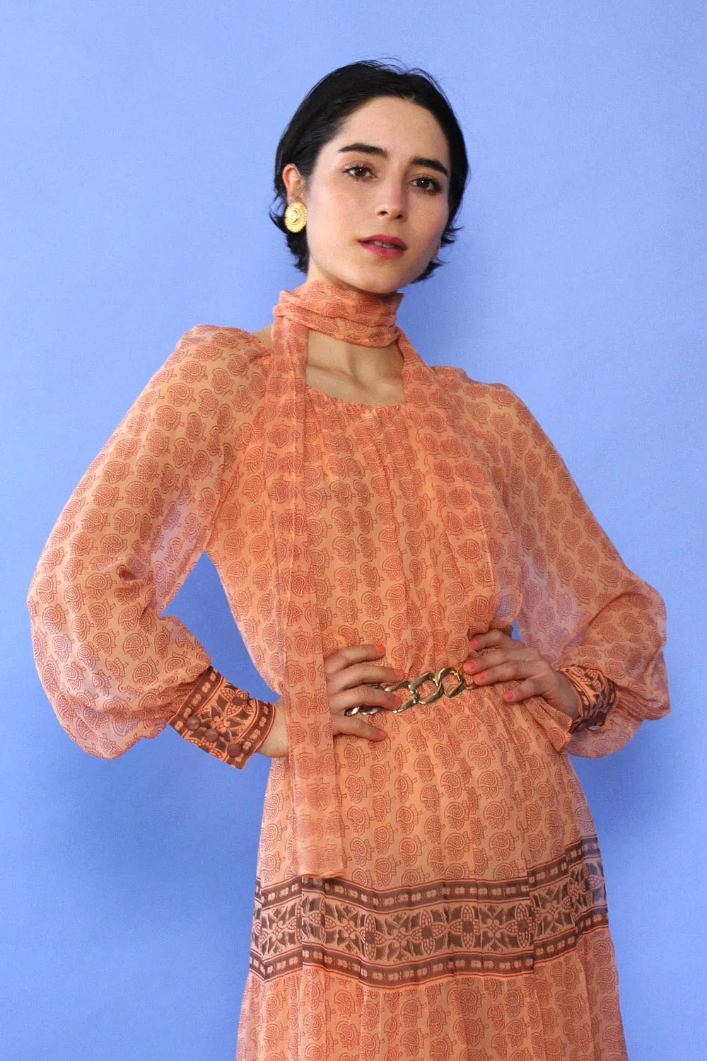 Albert Capraro Desert Rose Chiffon Dress S-L