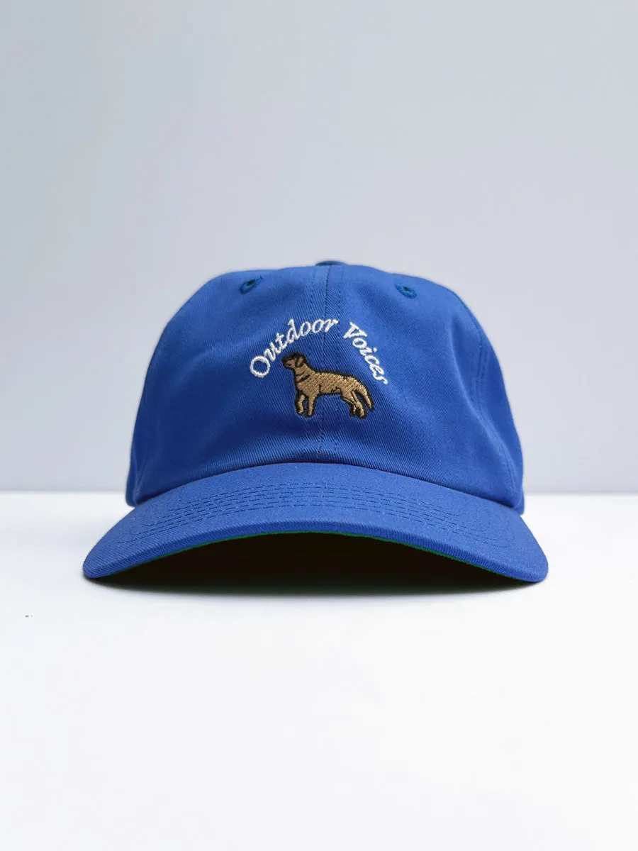 Doing Good Things Dog Hat