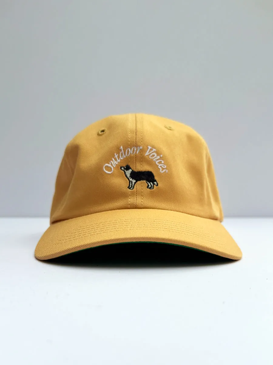 Doing Good Things Dog Hat