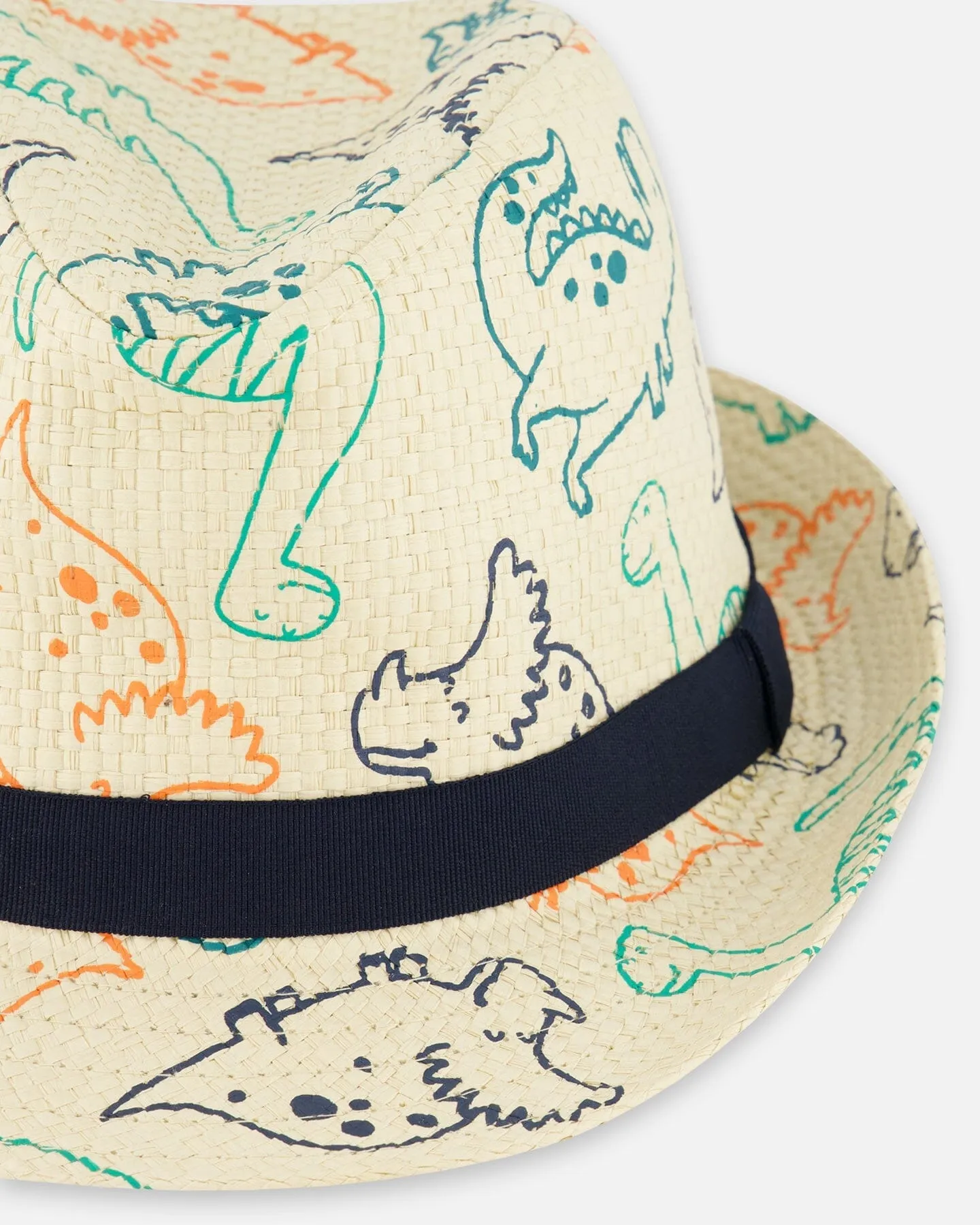 Printed Straw Hat Dinosaurs