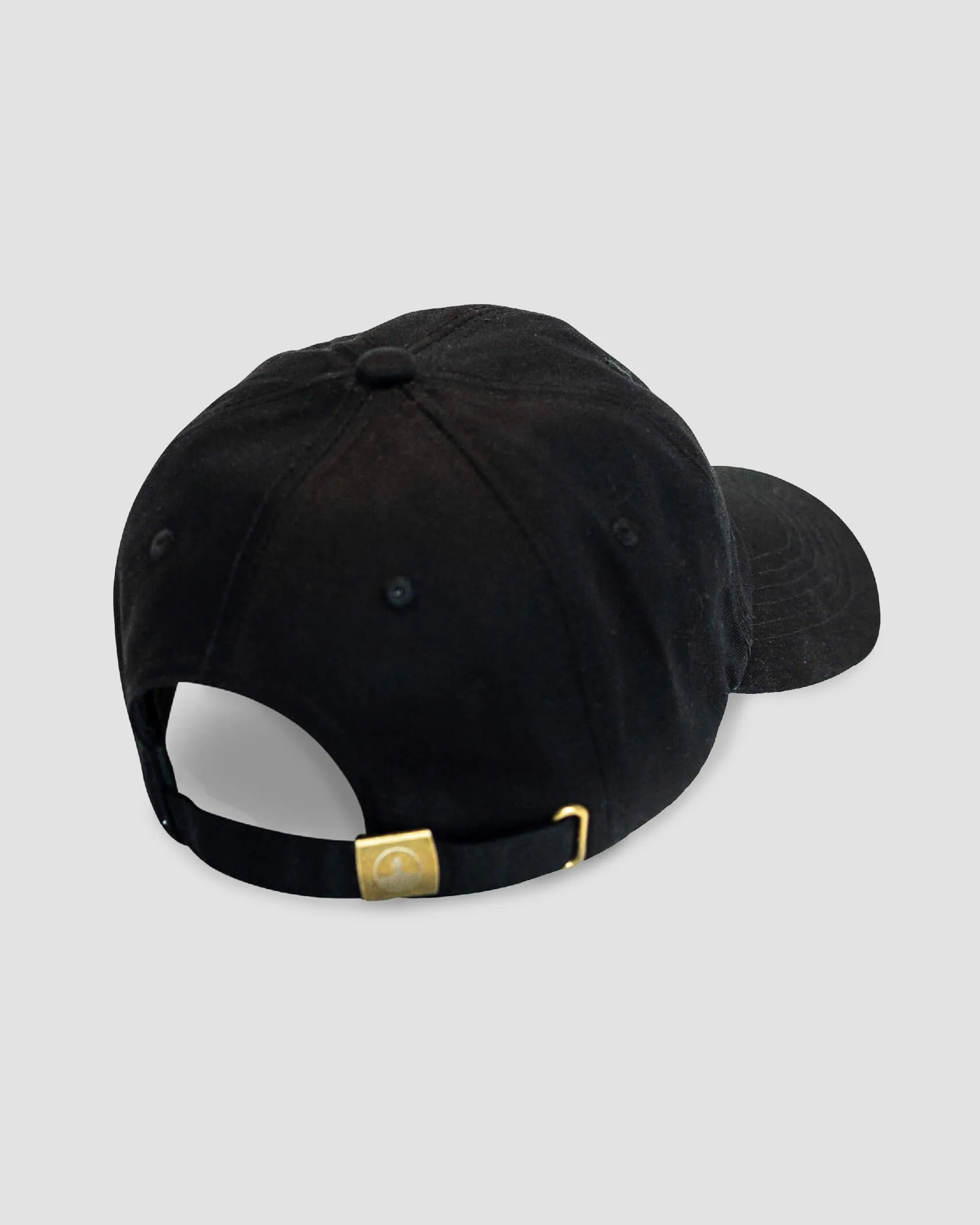 Sea Turtle Hat