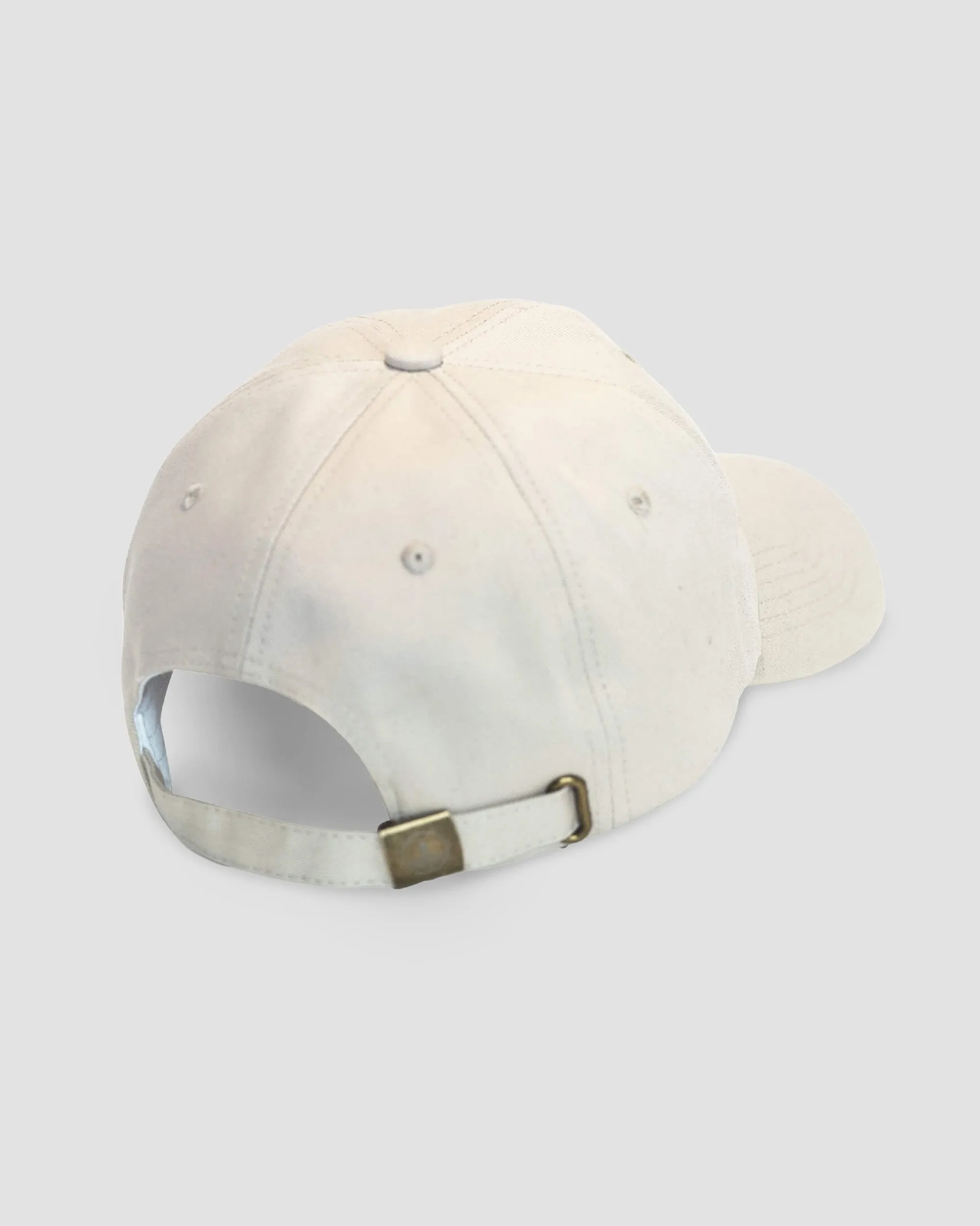 Sea Turtle Hat