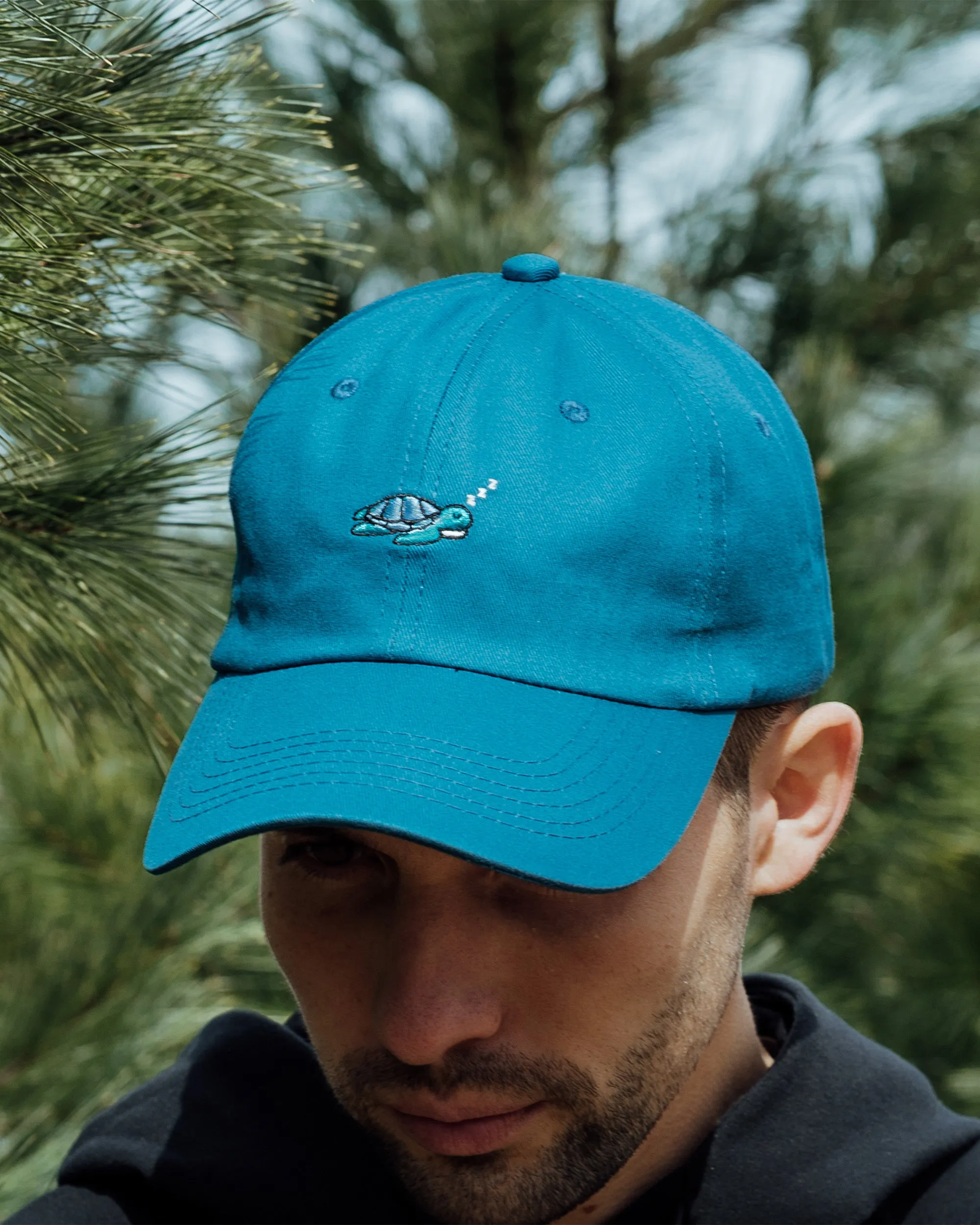 Sea Turtle Hat