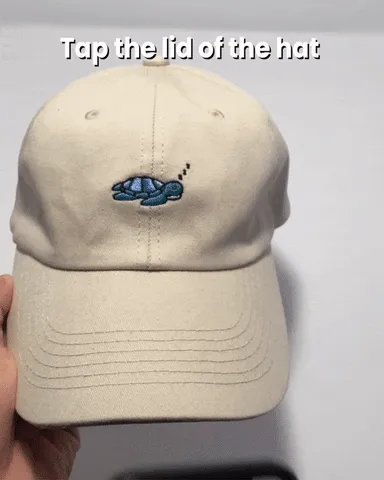 Sea Turtle Hat