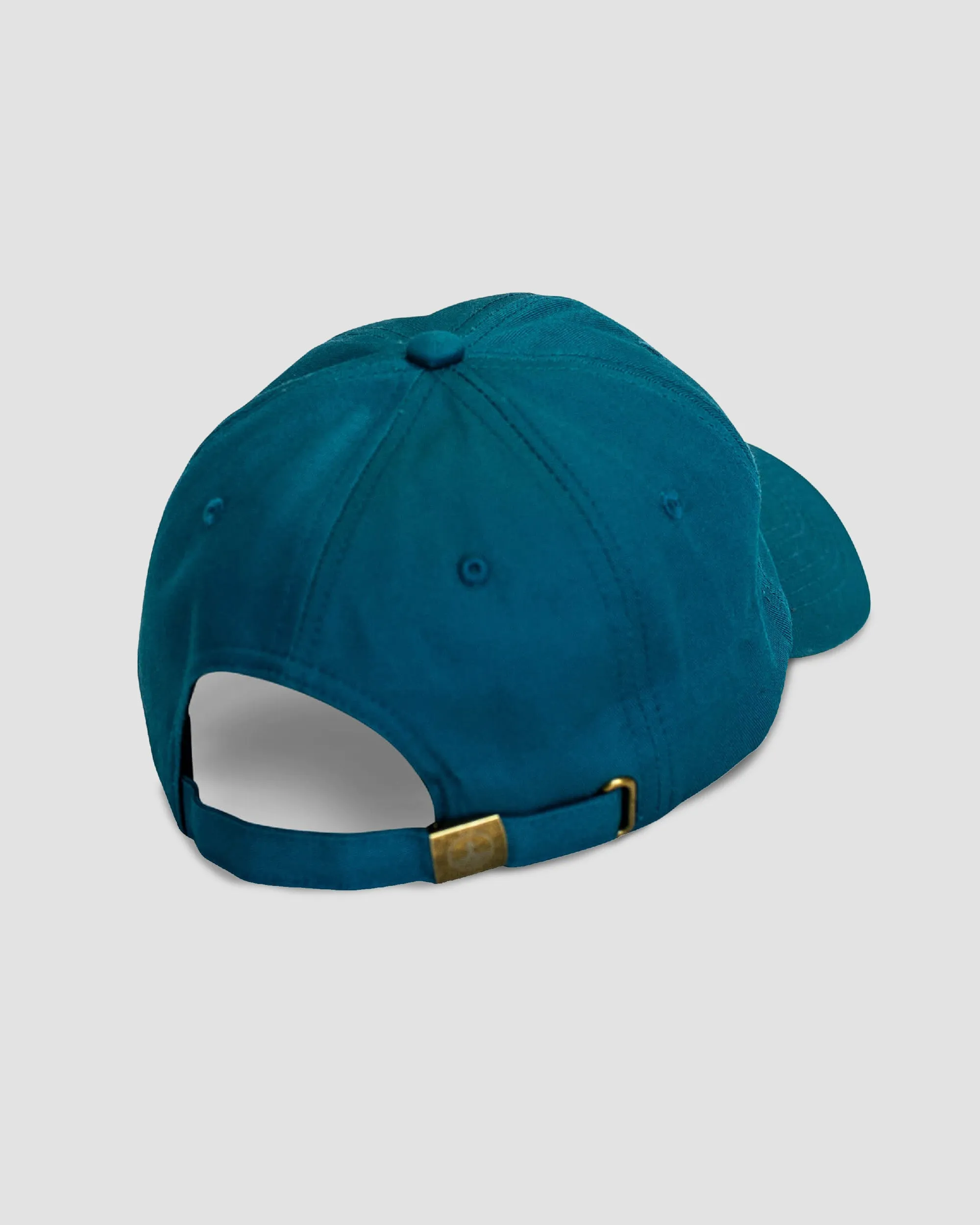 Sea Turtle Hat