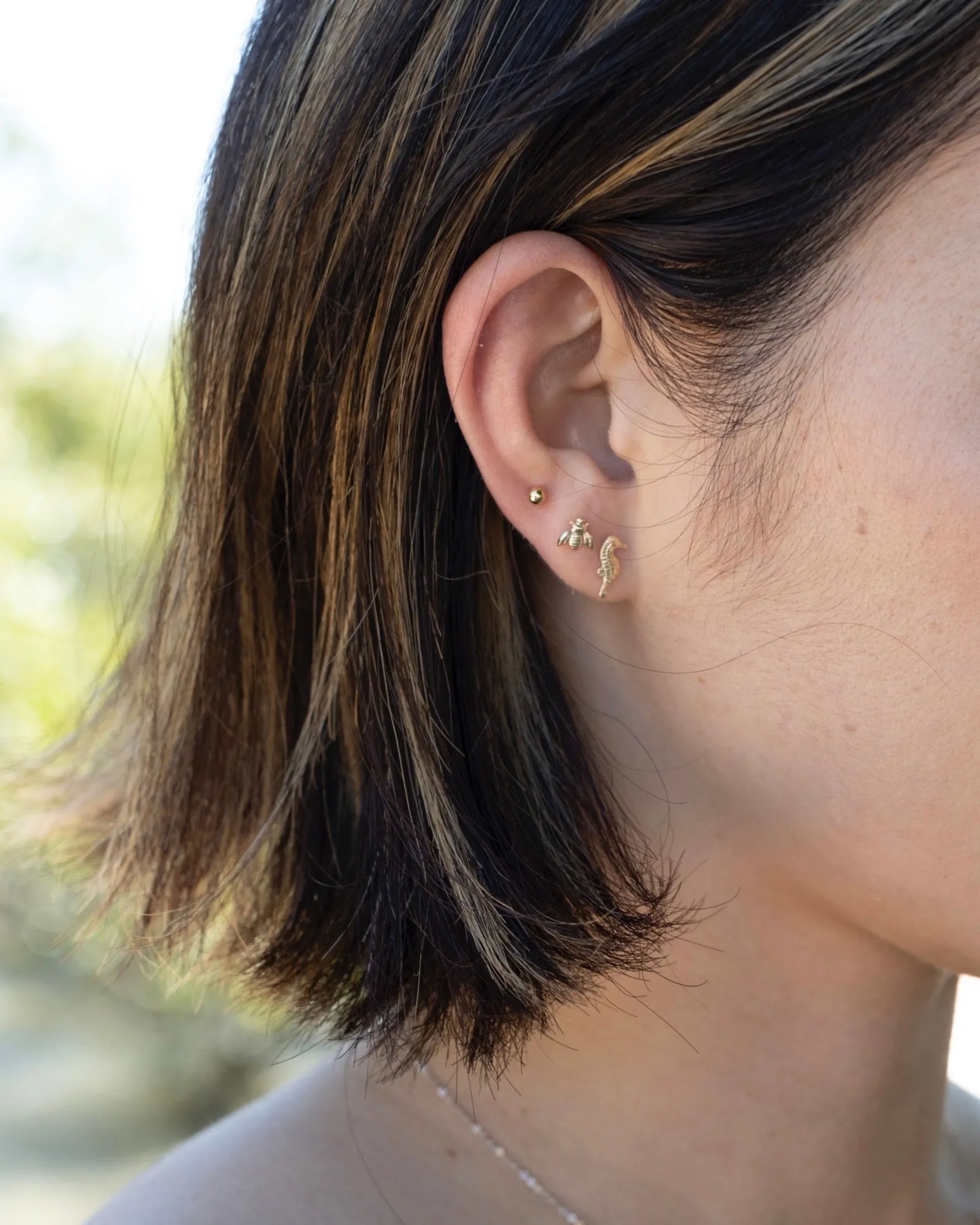Seahorses Stud Earrings